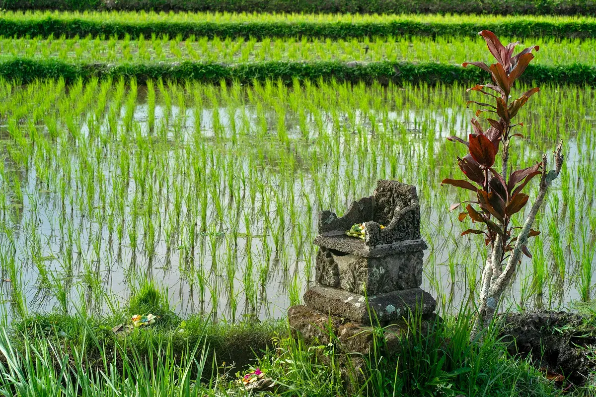 Working in creative bursts